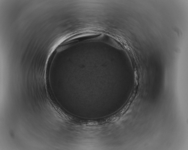 X0000113150196200909041241