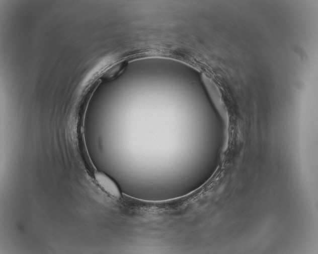 X0000113150197200909041241