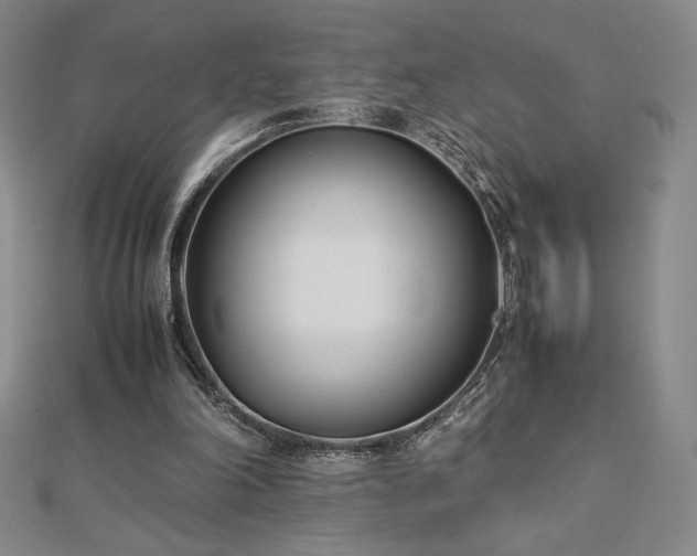 X0000113150198200909041241