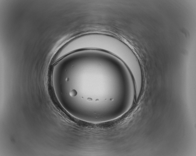 X0000113150199200909041241