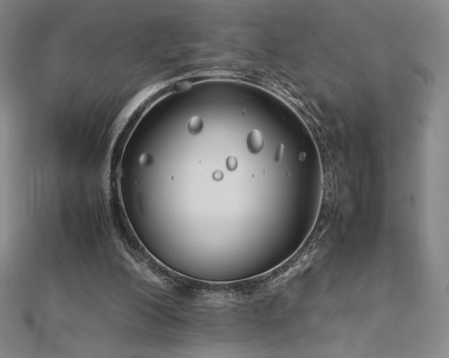 X0000113150200200909041241