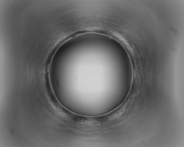 X0000113150201200909041241