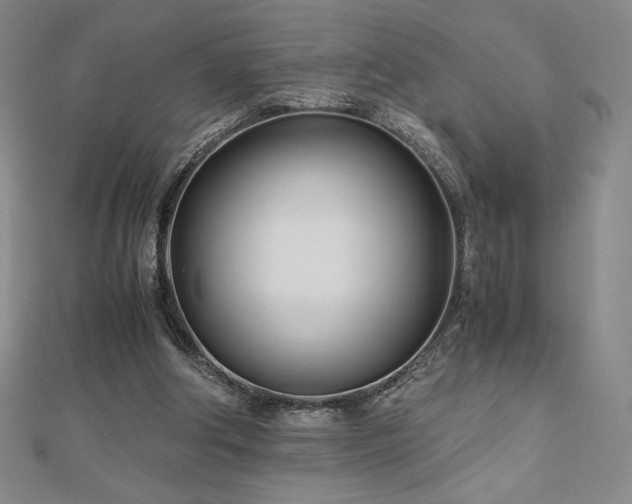 X0000113150202200909041241