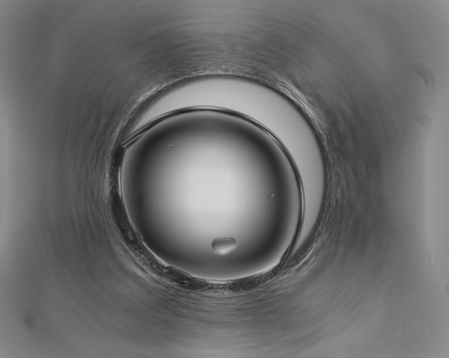 X0000113150203200909041241