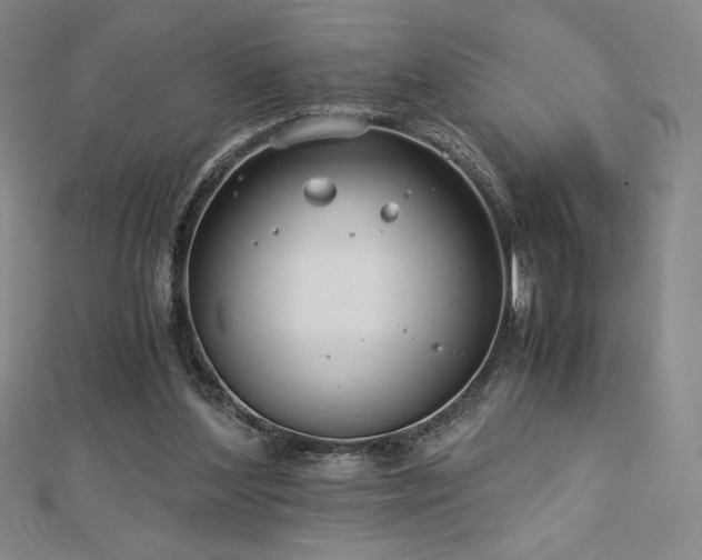 X0000113150204200909041241