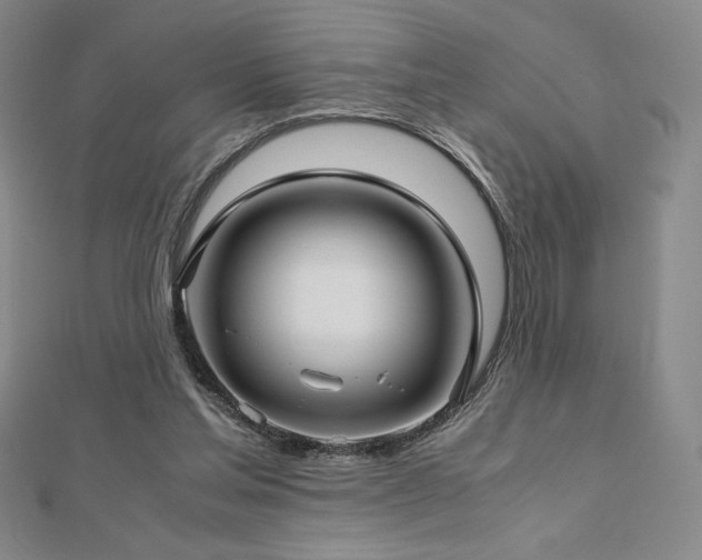 X0000113150205200909041241