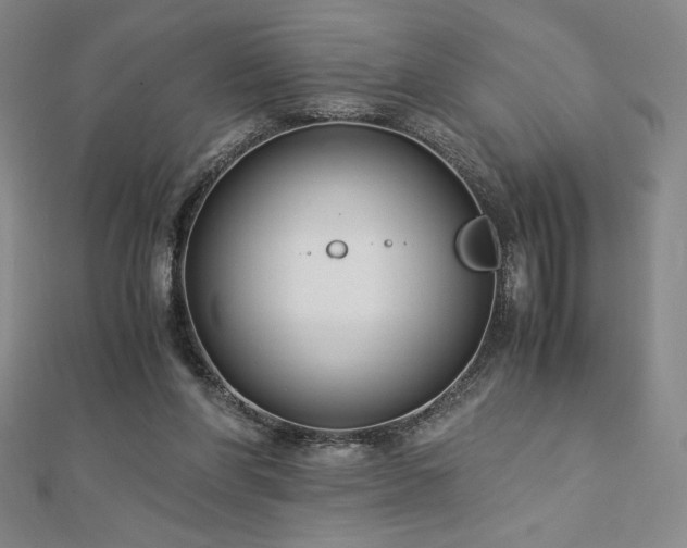 X0000113150206200909041241