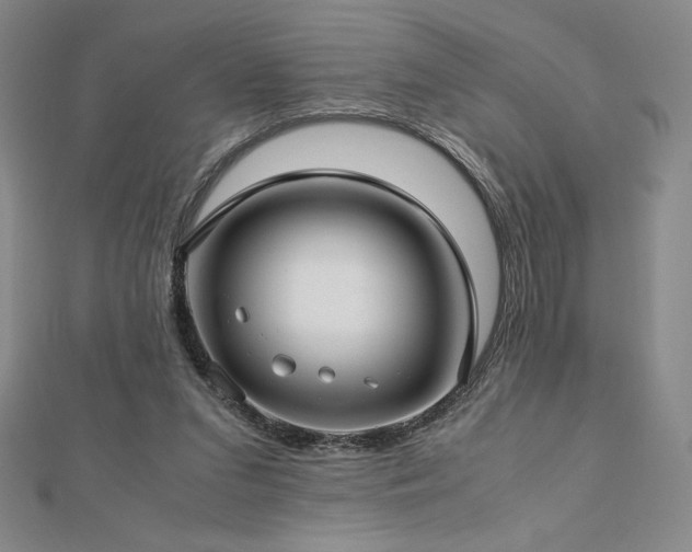 X0000113150207200909041241