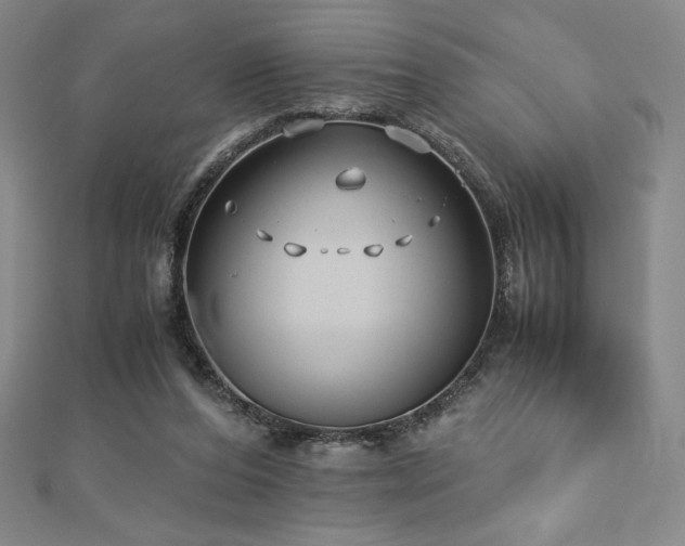 X0000113150208200909041241