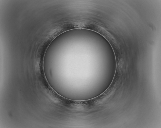 X0000113150209200909041241