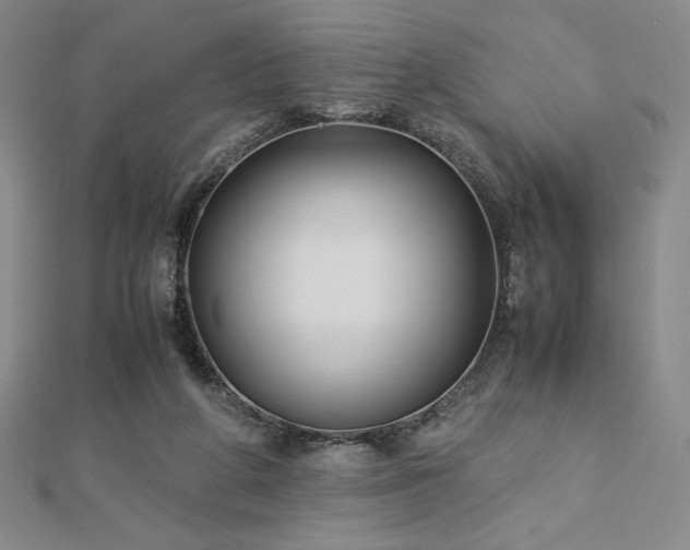 X0000113150210200909041241