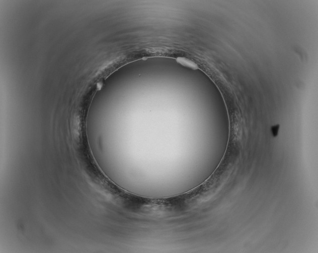 X0000113150211200909041241