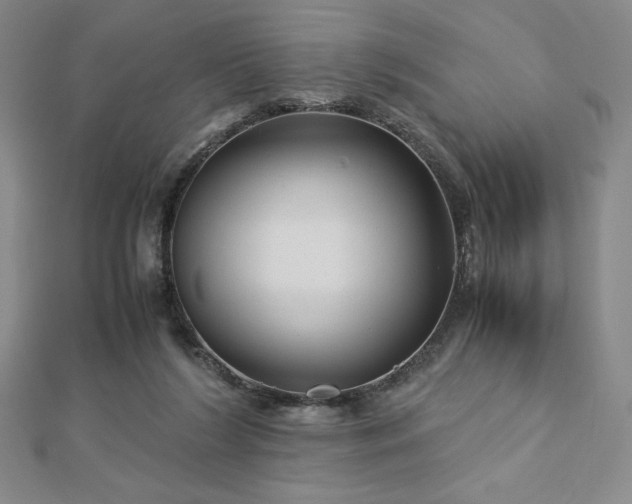 X0000113150212200909041241