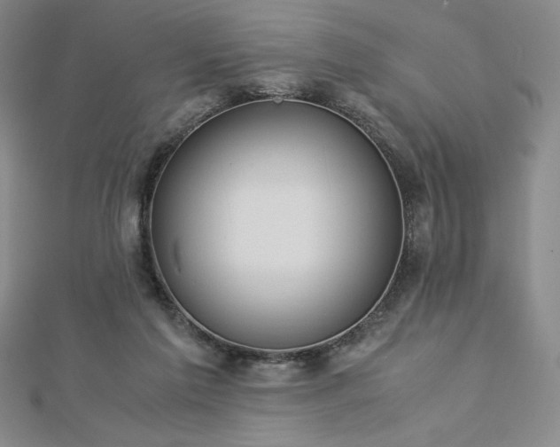 X0000113150213200909041241