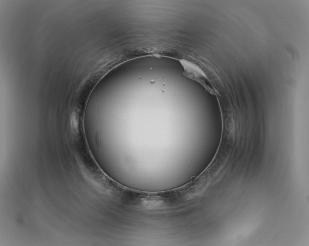 X0000113150214200909041241