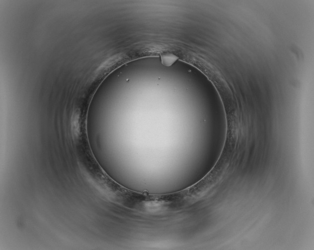 X0000113150216200909041240