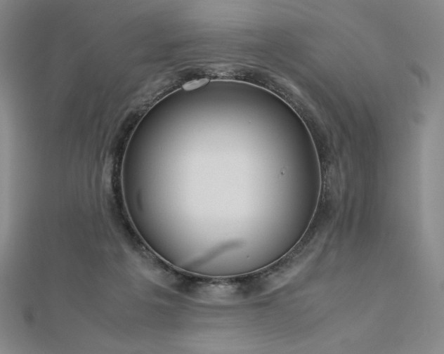 X0000113150217200909041240