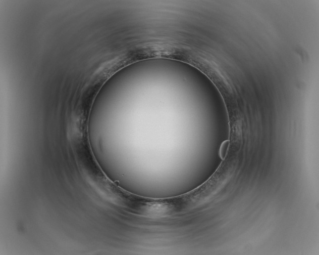 X0000113150218200909041240