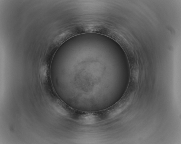 X0000113150219200909041240