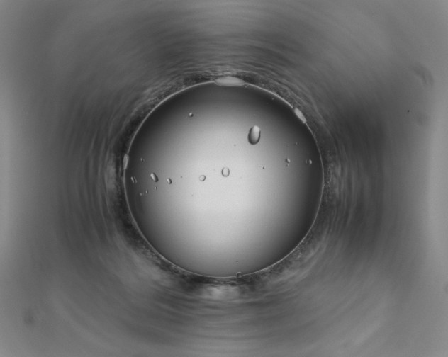 X0000113150220200909041240