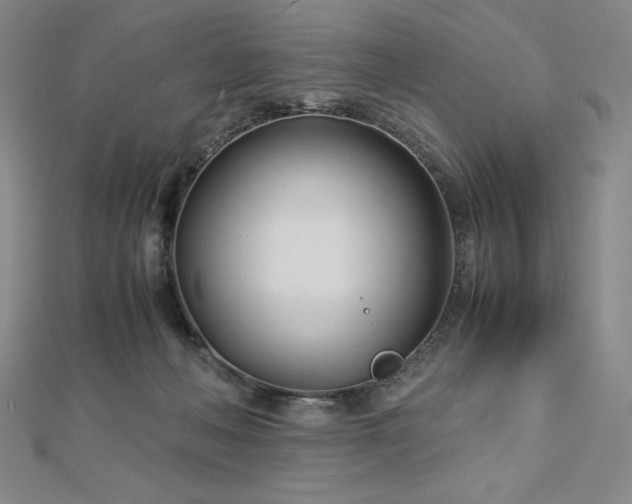 X0000113150222200909041240