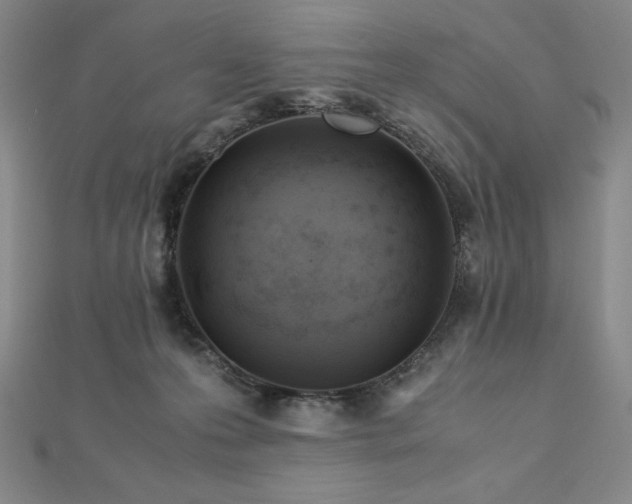 X0000113150223200909041240