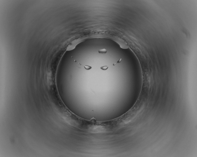 X0000113150224200909041240