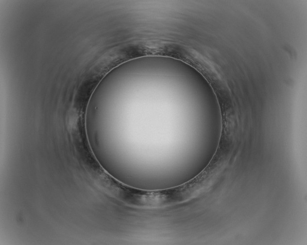 X0000113150225200909041240