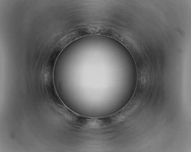 X0000113150226200909041240