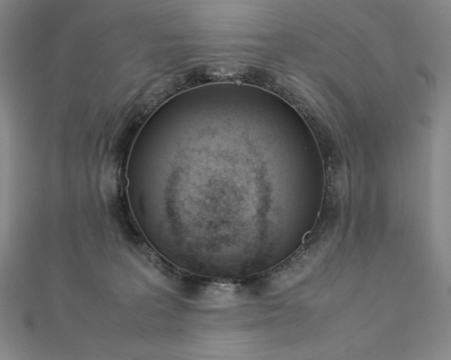 X0000113150227200909041240