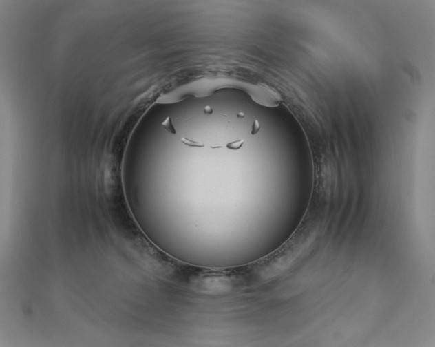 X0000113150228200909041240