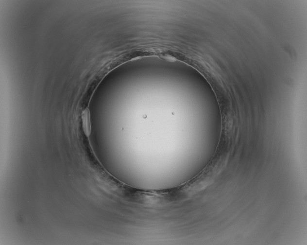 X0000113150229200909041240