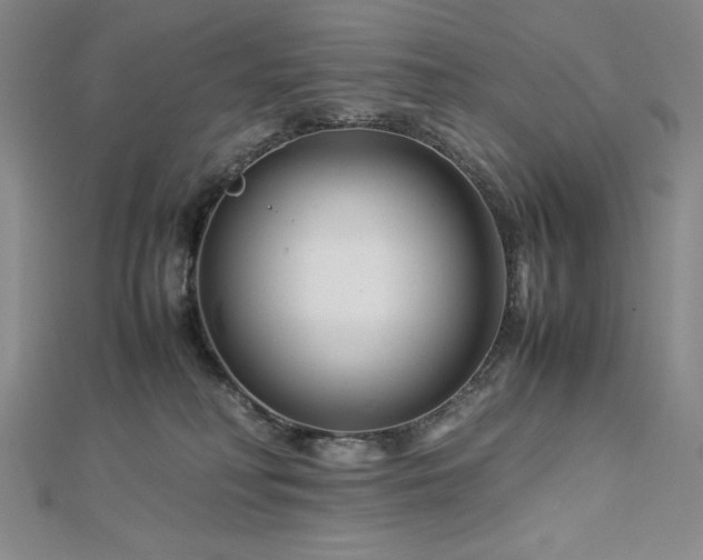 X0000113150230200909041240