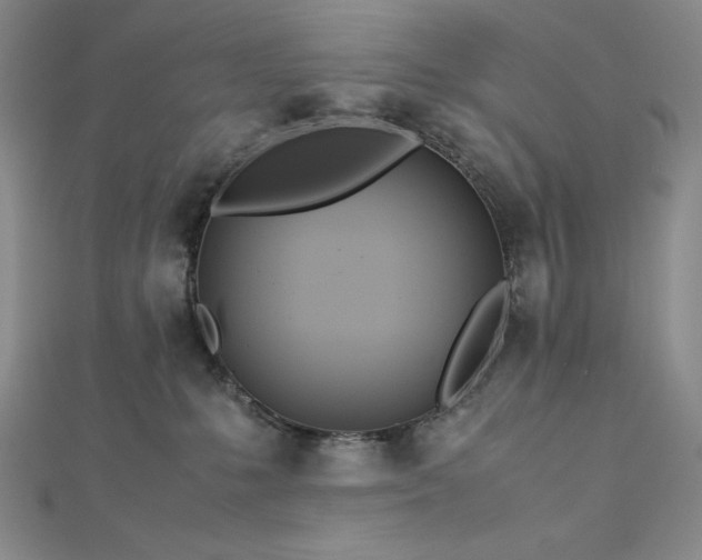 X0000113150231200909041240