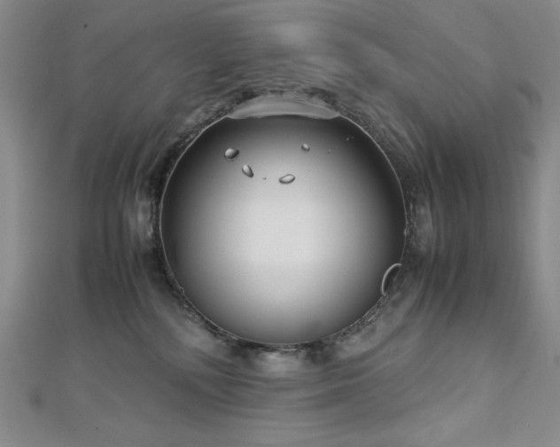 X0000113150232200909041240