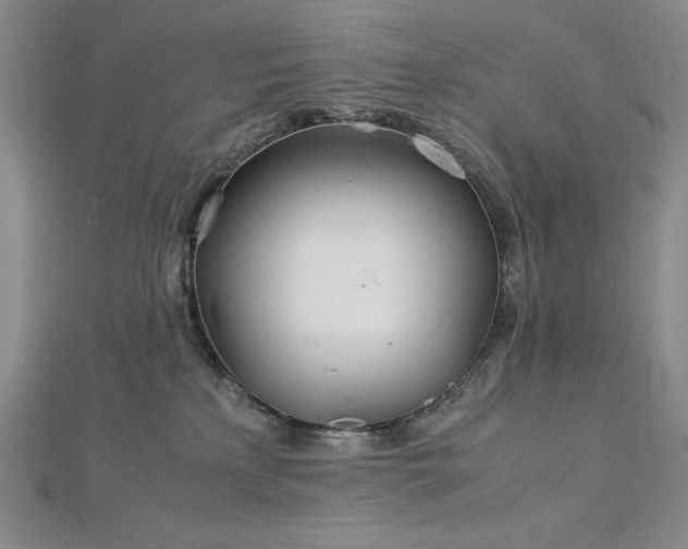 X0000113150233200909041240