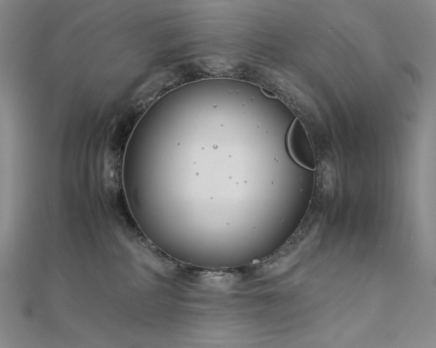 X0000113150234200909041240