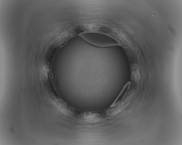 X0000113150235200909041240