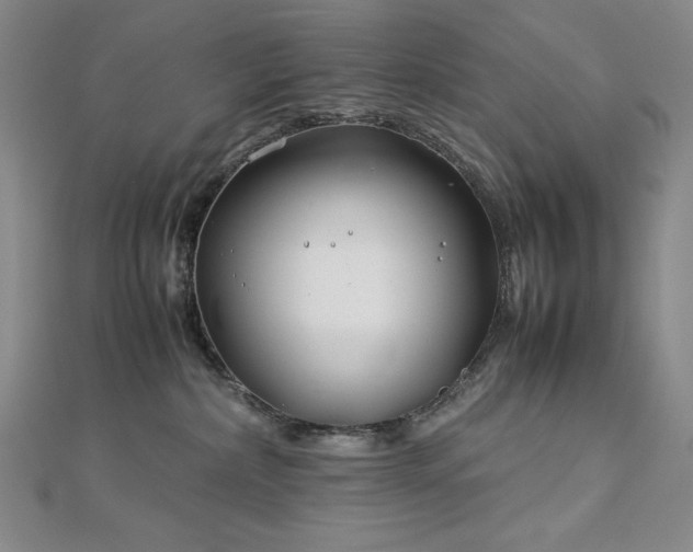 X0000113150236200909041240