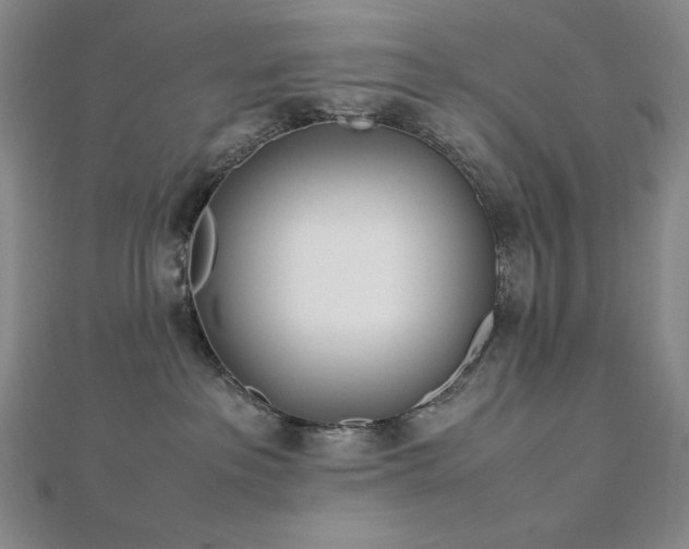 X0000113150237200909041240