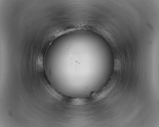 X0000113150238200909041240