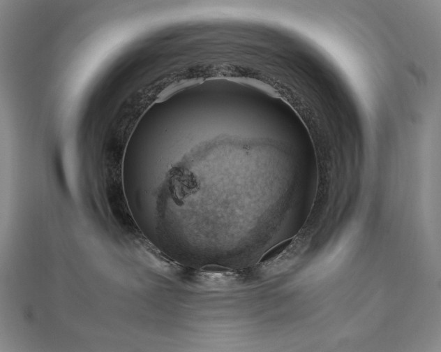 X0000113150239200909041240