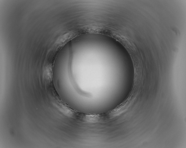 X0000113150240200909041240