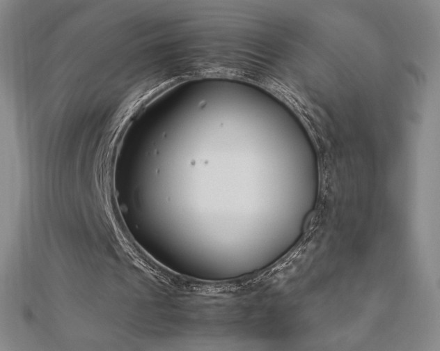 X0000113150241200909041240