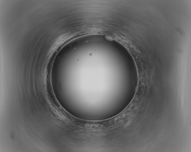 X0000113150242200909041240