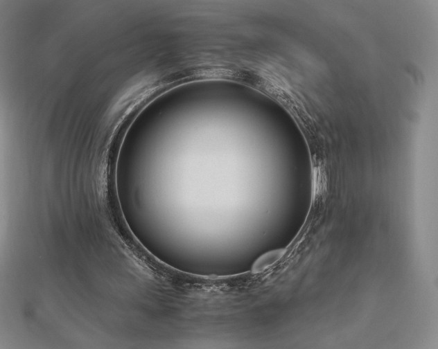 X0000113150243200909041240