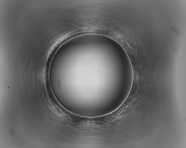 X0000113150244200909041240