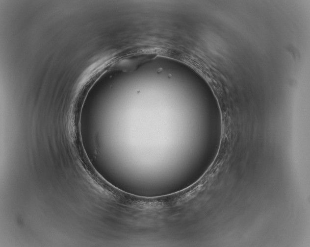 X0000113150245200909041240