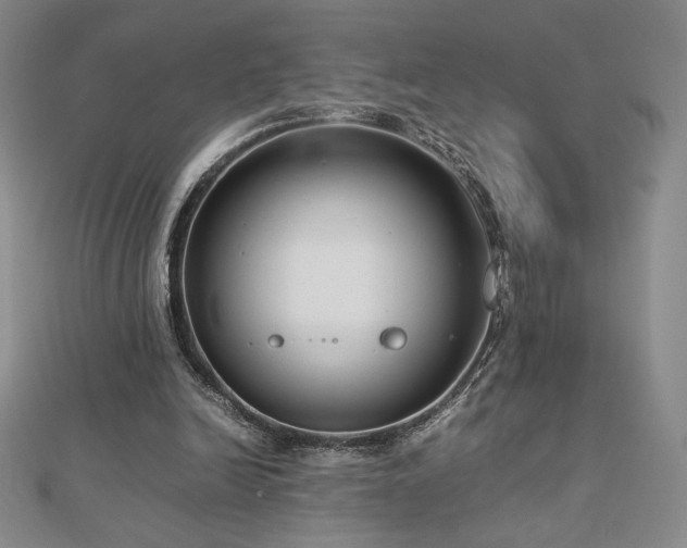 X0000113150246200909041240