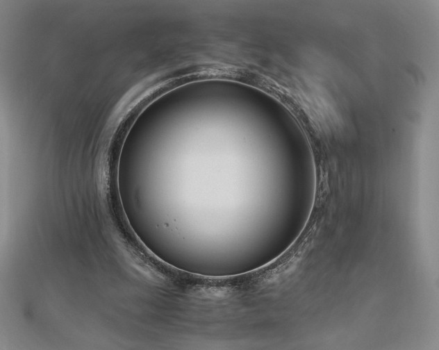 X0000113150247200909041240